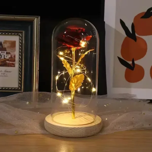 Fairy LED Home Decor - Image 4