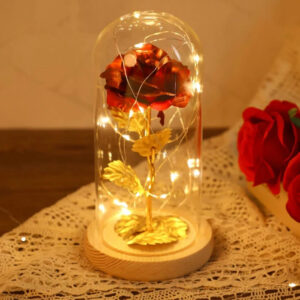 Fairy LED Home Decor