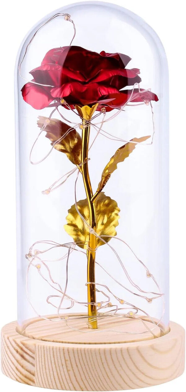 Fairy LED Home Decor - Image 5
