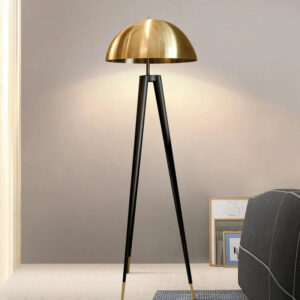 Dome Floor Lamp.