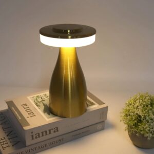 Portable LED Desk Lamp