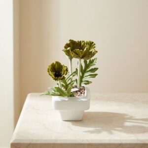 The Olive Anemone